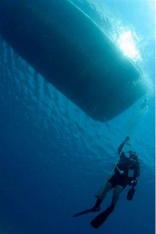 erman dive